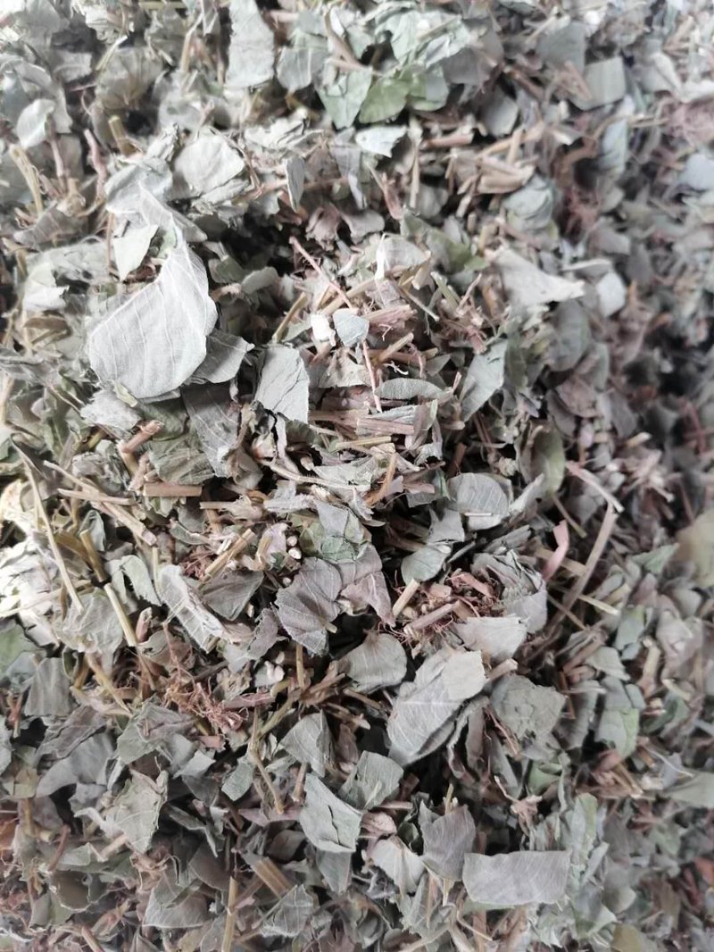 长白山中药材：如何挑选优质药材？