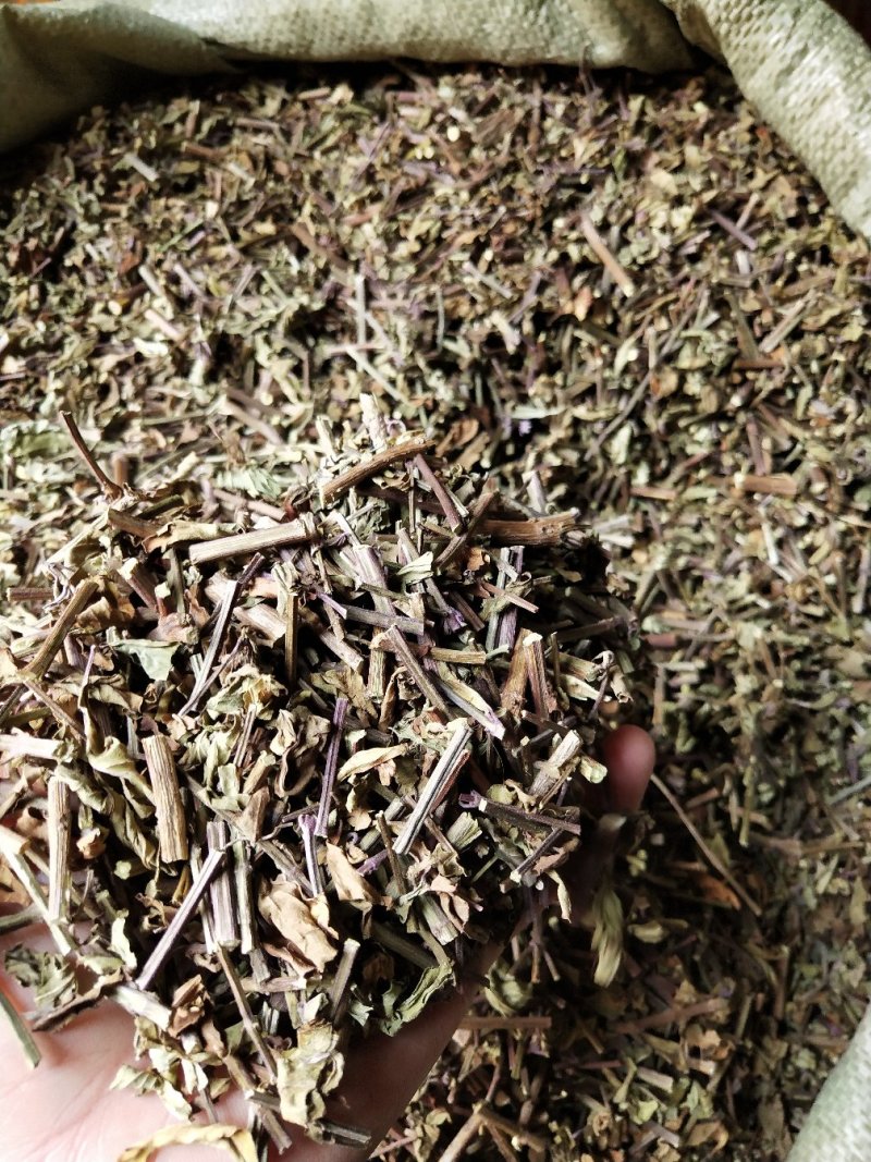 选购道地药材的那些事儿