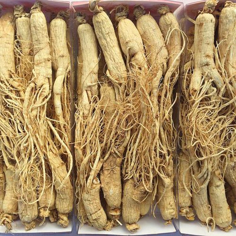 中草药批发：传统与现代的完美结合
