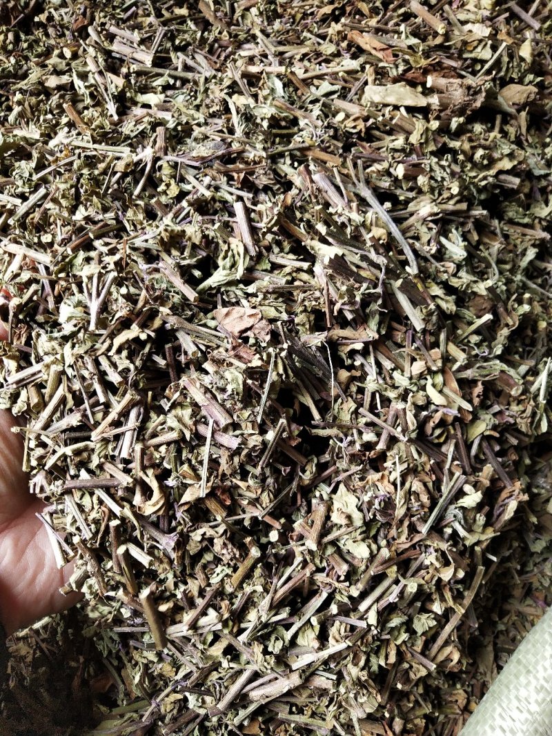 中草药批发
