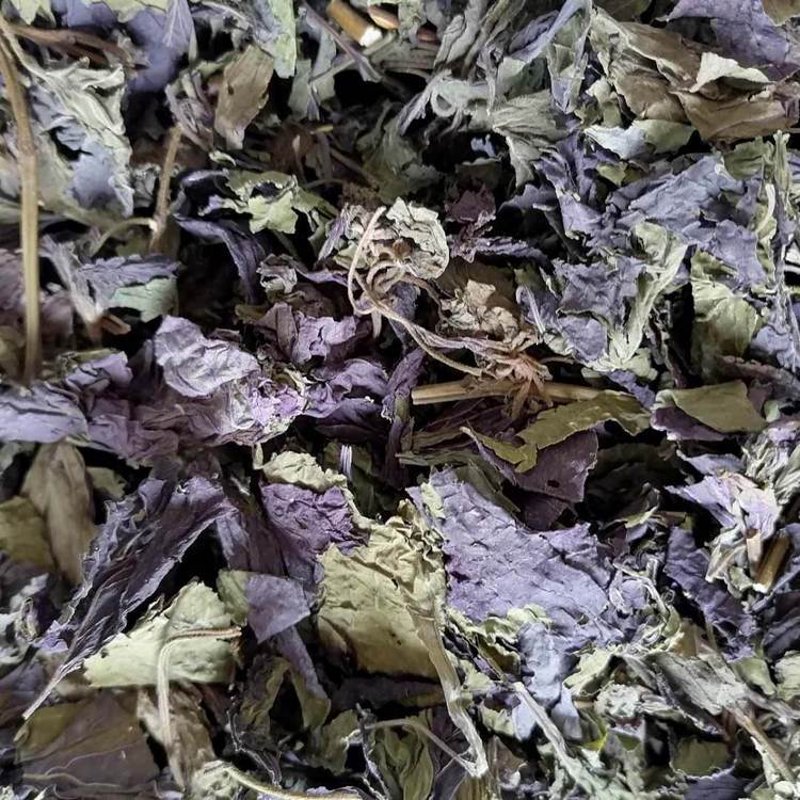 道地药材的前世今生：寻找真正的药效之源
