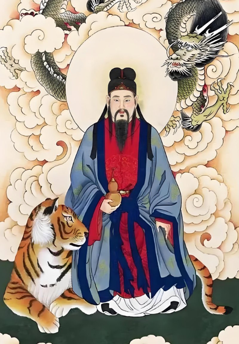 探索道地药材的魅力