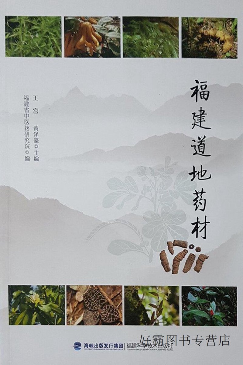 道地药材：品质与口碑的见证